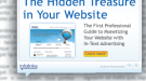 The Hidden Treasure in Your Website - NL